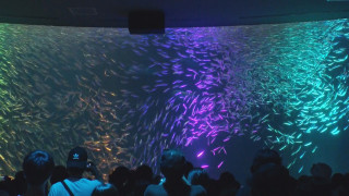 マニアに教えてもらった！夏の「名古屋港水族館」を100倍楽しむ完全ガイド！