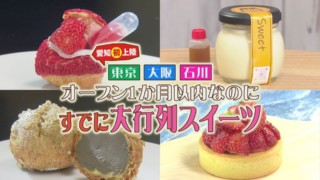 【最新】オープン１か月の大行列スイーツ特集！進化系シュークリーム×宝石タルト×極生プリン！【うなずキング】