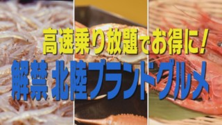 紅ガニ！宝石白えび！甘エビ！【極うま】北陸ブランドグルメ！【花咲かタイムズ】