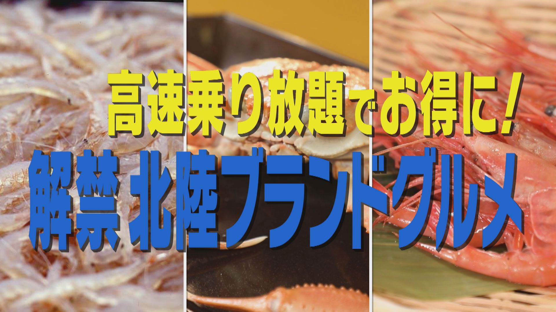 紅ガニ！宝石白えび！甘エビ！【極うま】北陸ブランドグルメ！【花咲かタイムズ】