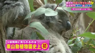 かわいさにキュン!ベビーラッシュに沸く動物園のあの子たち、この子たちに釘付け!