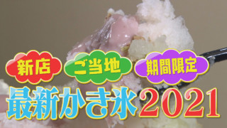 動画映え!ご当地有名店の弟子が作る!年々進化している最新の絶品かき氷