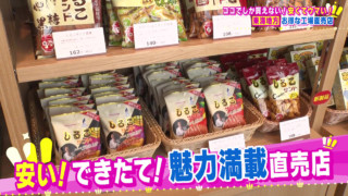 できたての工場直売パン！超お得なしるこサンド！養蜂園直売の激うまハチミツ！わざわざ行きたくなる安くてウマい東海地方の工場直売店