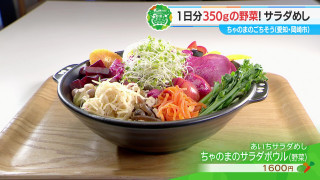 １日分の野菜が食べられるあいちサラダめし