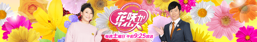 花咲かタイムズ