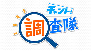 チャント!調査隊