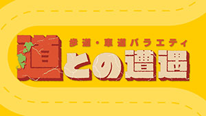 道との遭遇