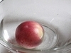 IMG_5863.jpg