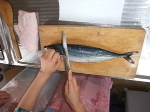 DSCF3780.JPG