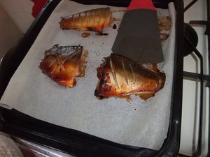 DSCF3797.JPG