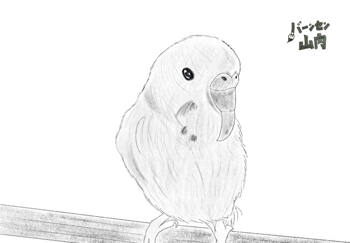 大切な鳥はどこに?