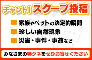 チャント!スクープ投稿