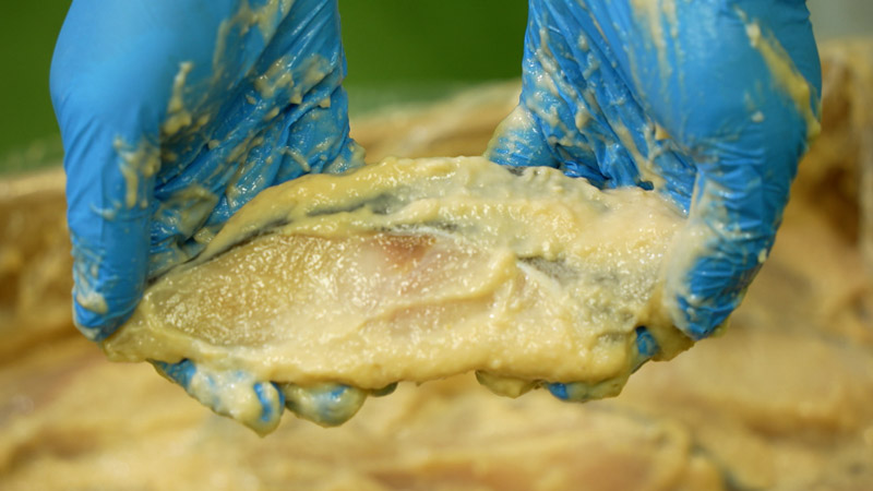 太田×石井のデララバ　名古屋駅の地下街！隅から隅まで歩いて密着２０１時間！