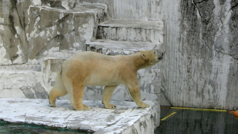 太田×石井のデララバ　ＧＷにオススメ！名古屋・東山動植物園ＳＰ