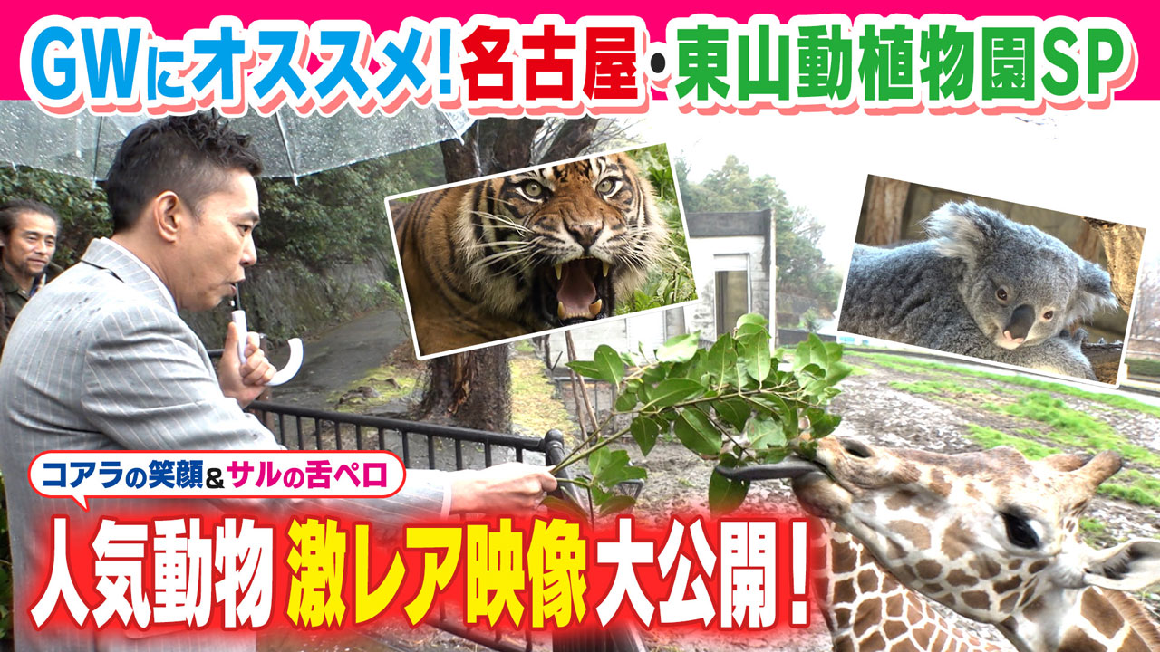 太田×石井のデララバ GWにオススメ!名古屋・東山動植物園SP