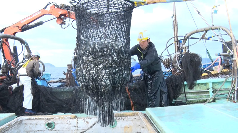 太田×石井のデララバ　愛知・回転寿司ととまる！お値打ちの秘密ＳＰ