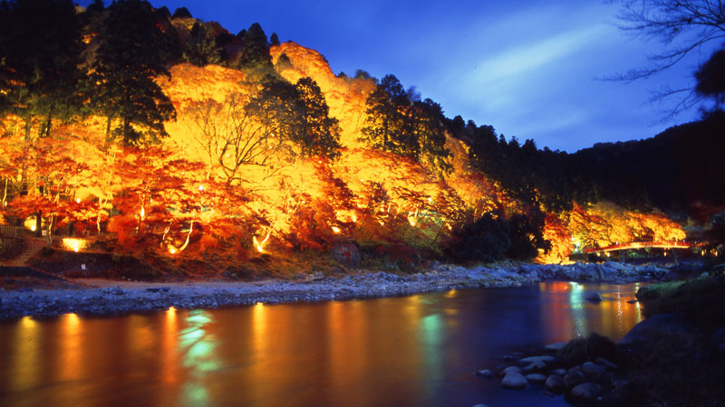 太田×石井のデララバ　東海３県　紅葉の名所ランキング