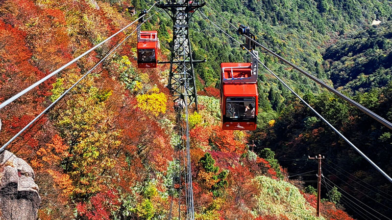 太田×石井のデララバ　東海３県　紅葉の名所ランキング
