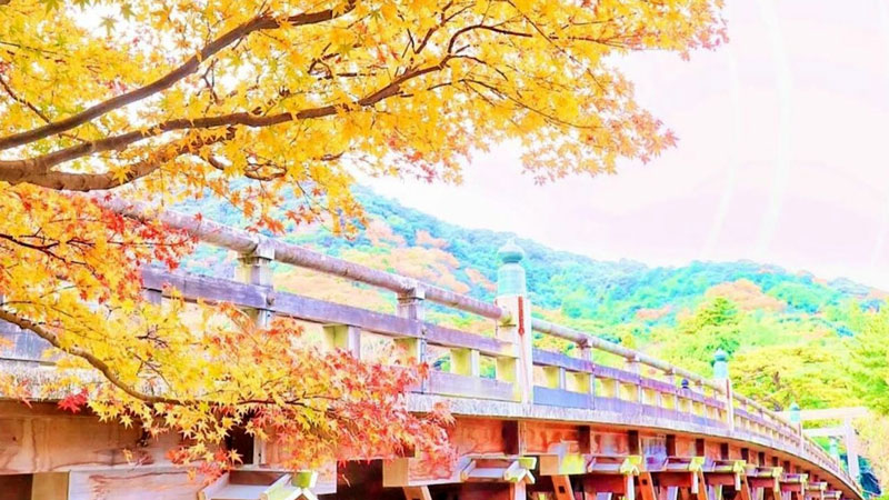 太田×石井のデララバ　東海３県　紅葉の名所ランキング