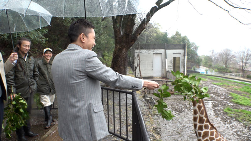 太田×石井のデララバ　東山動植物園＆鳥羽水族館２時間ＳＰ