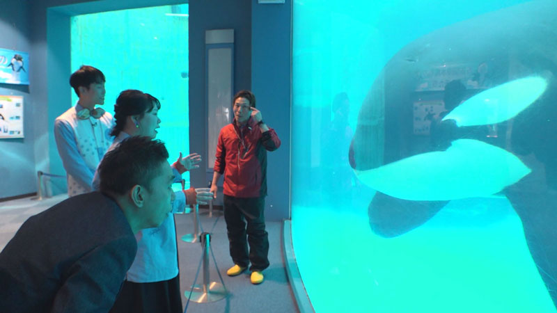 太田×石井のデララバ　ＧＷオススメ！名古屋港水族館＆竹島水族館