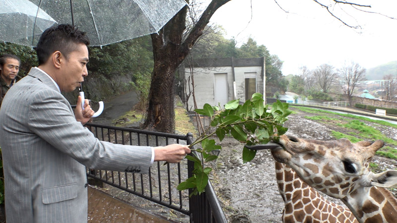 太田×石井のデララバ　ＧＷオススメ！名古屋の観光名所を徹底調査ＳＰ