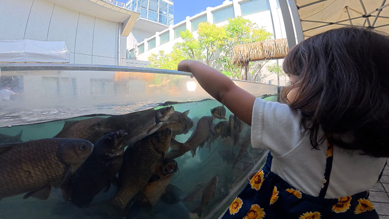 太田×石井のデララバ　東海地方　秋のおでかけSP