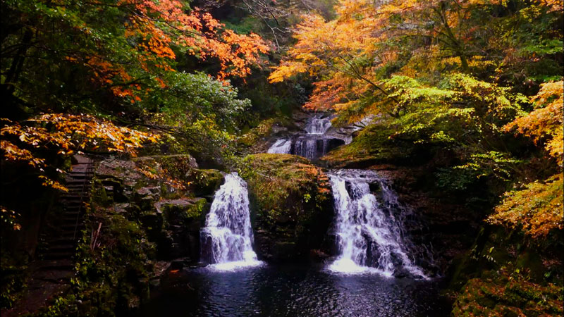 太田×石井のデララバ 生放送!紅葉の名所ランキング2時間SP