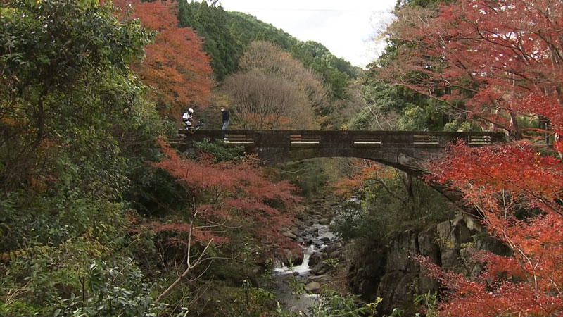 太田×石井のデララバ 生放送!紅葉の名所ランキング2時間SP