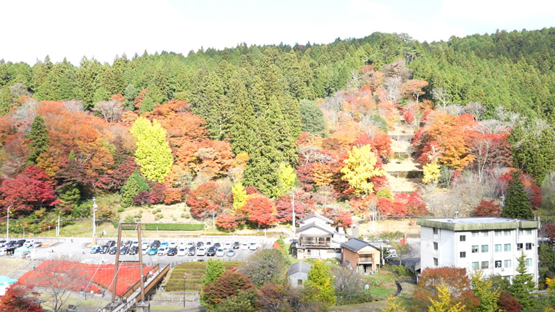 太田×石井のデララバ 生放送!紅葉の名所ランキング2時間SP