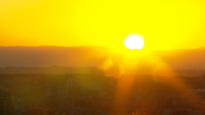 太田×石井のデララバ 生放送!東海地方の年末年始「知られざる風習」2時間SP