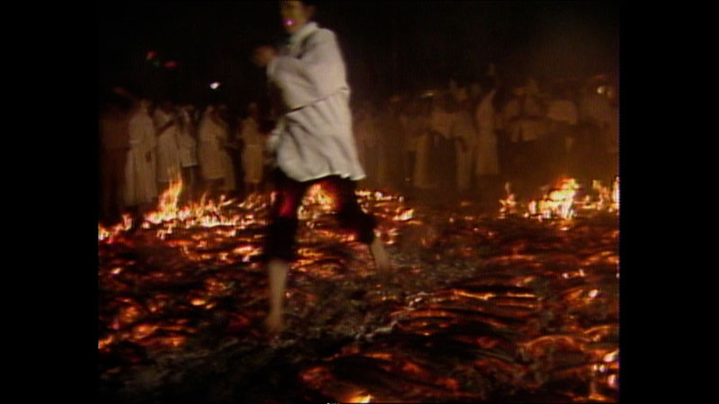 太田×石井のデララバ 生放送!東海地方の年末年始「知られざる風習」2時間SP