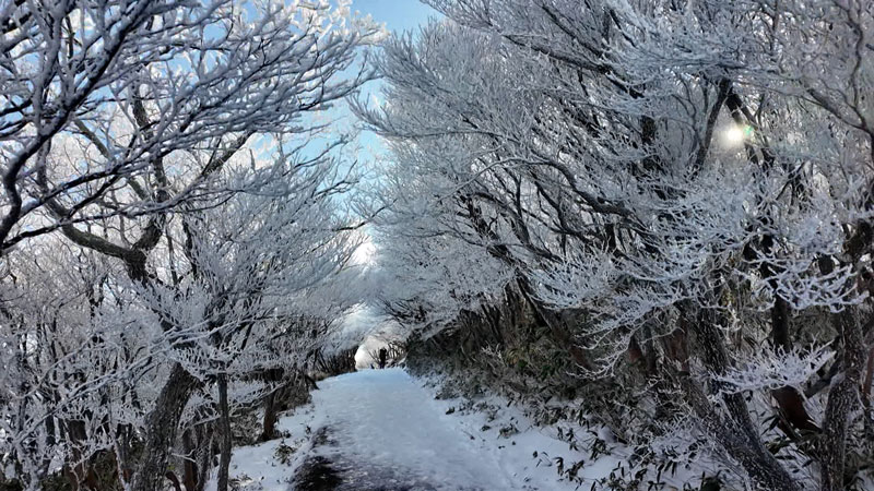 太田×石井のデララバ　東海地方　冬の絶景
