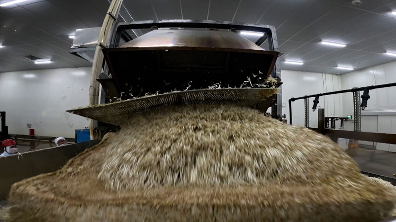 太田×石井のデララバ　激安食べ放題