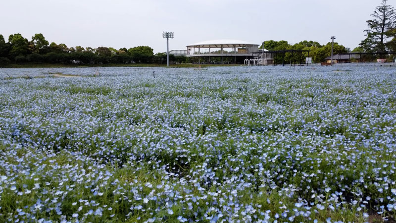 太田×石井のデララバ　ＧＷ行きたい場所ランキング2時間SP