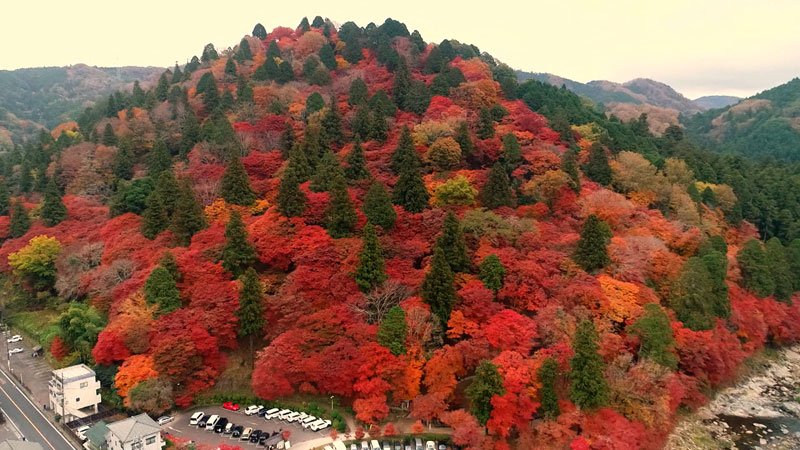 太田×石井のデララバ 愛知岐阜三重500人に聞いた 秋のお楽しみランキング