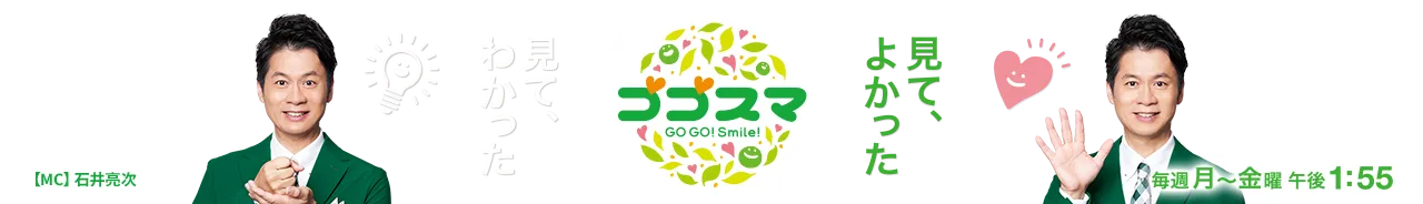 ゴゴスマ