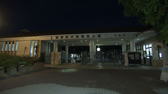 ナイトZOOで盛り上がる愛知・豊橋市周辺を推し旅