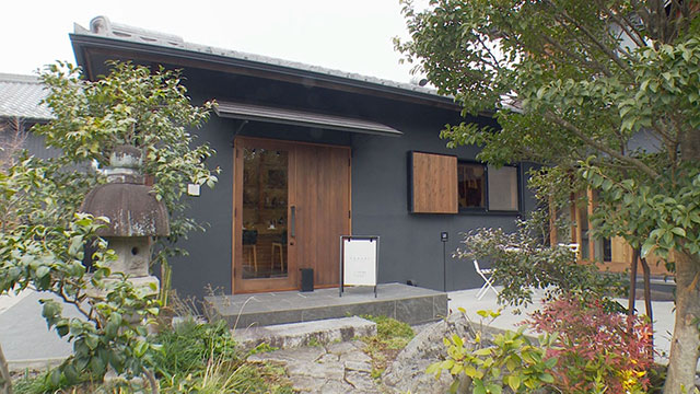 ひな祭りイベント開催！岐阜・多治見市周辺を推し旅