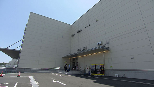 花しょうぶまつり開催中！愛知・豊橋 進化旅
