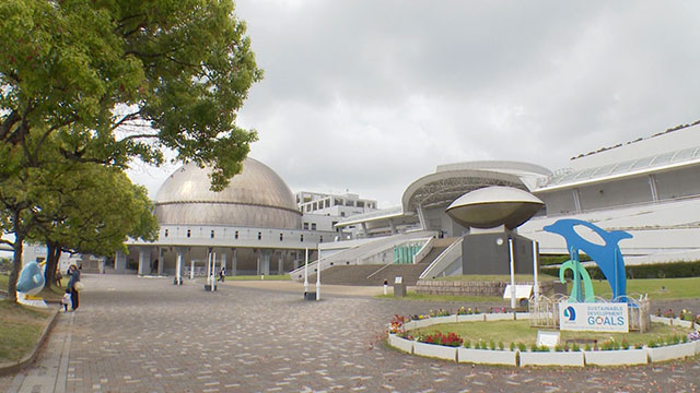 名古屋港水族館 見どころ完全攻略ガイド