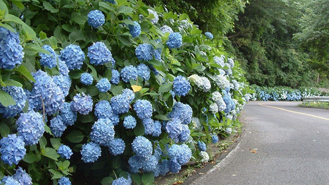 気象予報士激推し！梅雨の絶景スポット