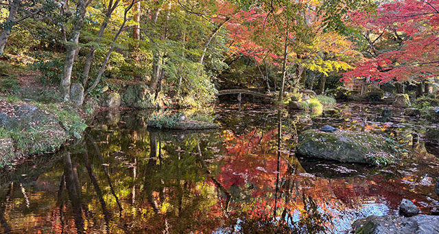 きのう紅葉撮ってきました！鉄板or穴場
