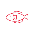 魚