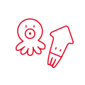 いか・たこ