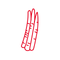 ごぼう