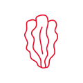 海藻