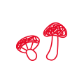 きのこ類