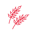 穀類