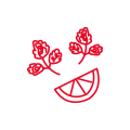 エスニック料理